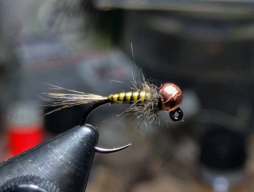 Olive Peacock Quill Nymph