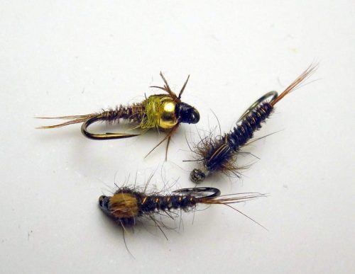 PT Nymph Variant 16
