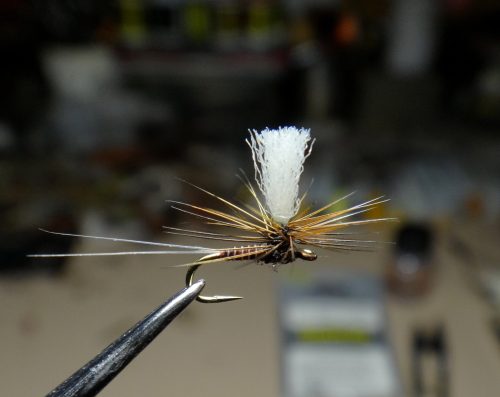 Parachute Variant