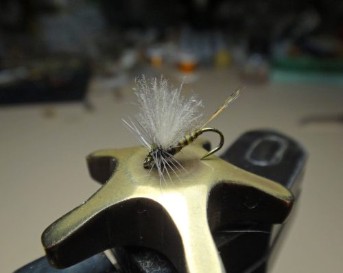 Polish Quill Body CDC Thorax Dun 18