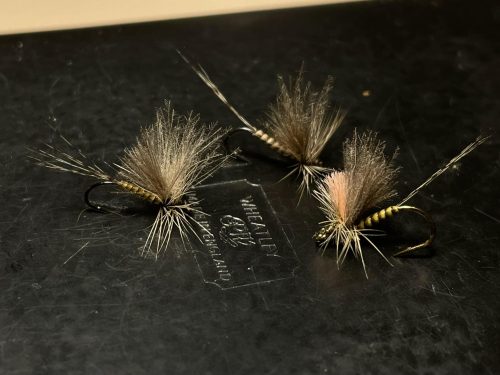 Quill Body CDC Thorax Dun 14