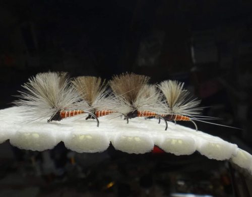 Quill Body Parachutes