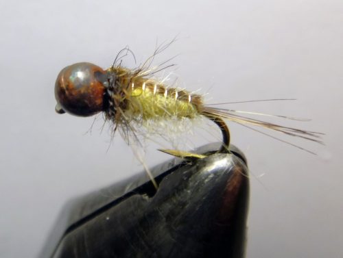 Rhithrogena Spec Nymph-1