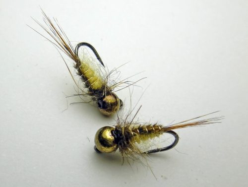 Rhithrogena Spec Nymph-2