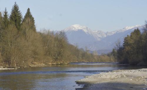 Sava-Trzic-5