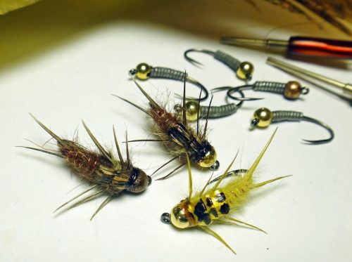 Stonefly 8