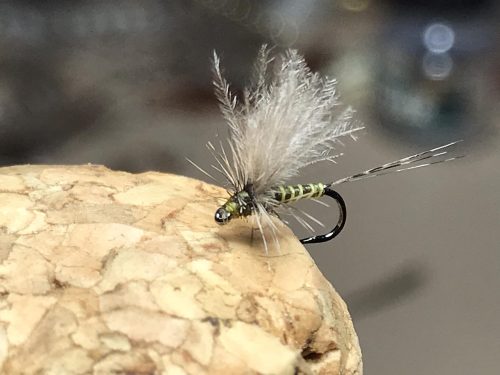 Thorax CDC Dun №18