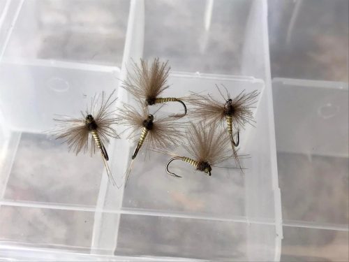 V-Wing CDC Dun 18