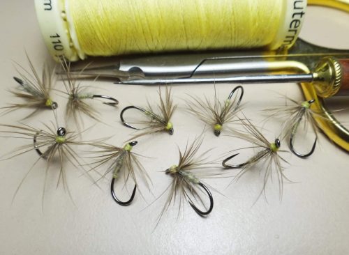 Waterhen Bloa-2