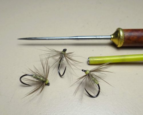 Waterhen Bloa-3