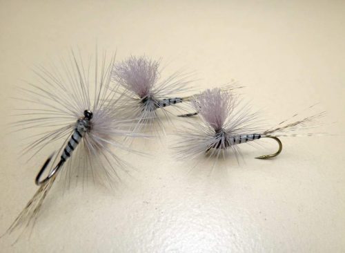 White Parachute 14