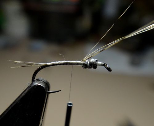 baetis-nymph-02