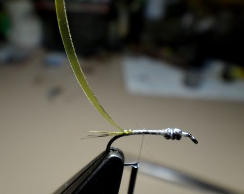 baetis-nymph-03