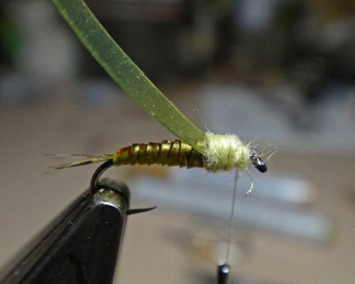 baetis-nymph-04