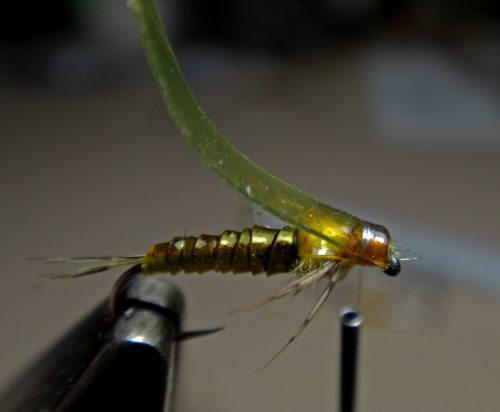 baetis-nymph-06