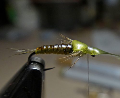 baetis-nymph-07