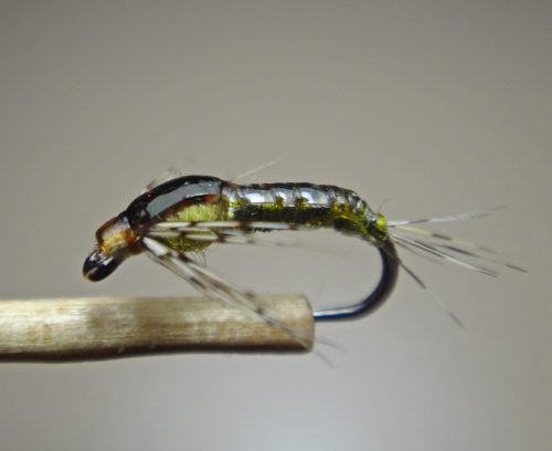 baetis-nymph-09