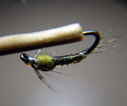 baetis-nymph-10