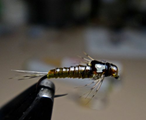 baetis-nymph-11