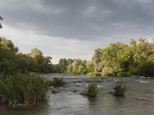big-chub-tundja-river-01