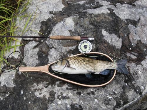 big-chub-tundja-river-03