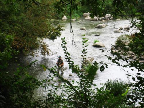 big-chub-tundja-river-06