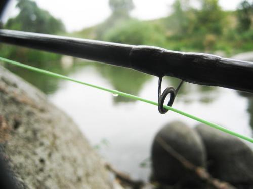 big-chub-tundja-river-07