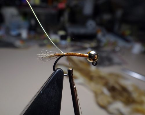 bird-nest-jig-nymph-02