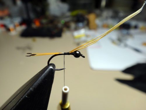 black-pennel-variant-01