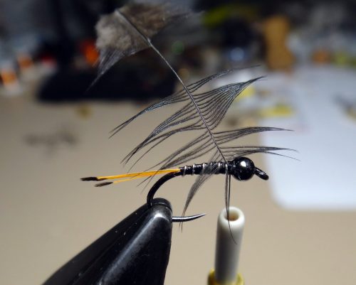 black-pennel-variant-04
