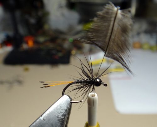 black-pennel-variant-05