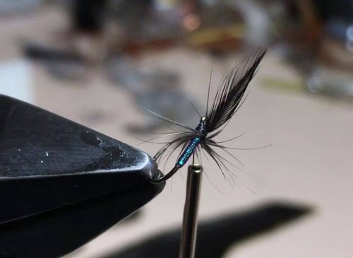black-spider-pearl-variant-01