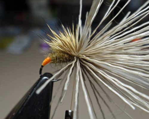 caddis-parachute-hot-but-03