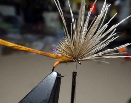 caddis-parachute-hot-but-05