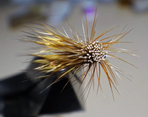 caddis-parachute-hot-but-10