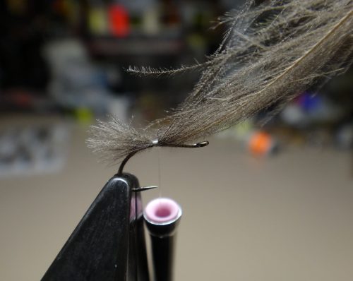 cdc-emerger-dun-01