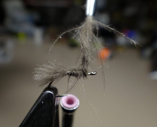 cdc-emerger-dun-02