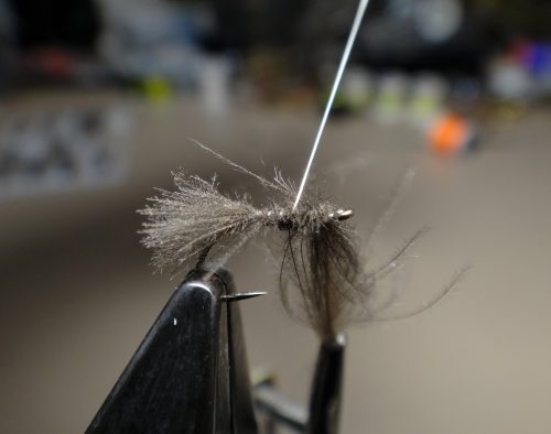 cdc-emerger-dun-03