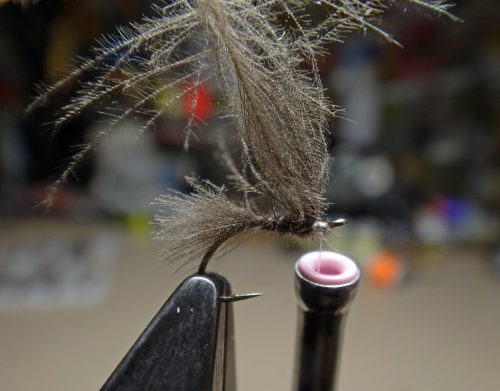 cdc-emerger-dun-04