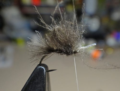 cdc-emerger-dun-05