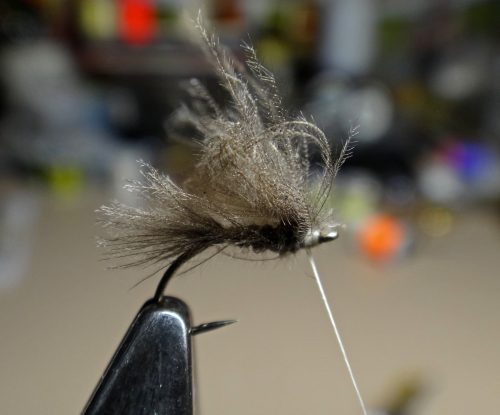 cdc-emerger-dun-06