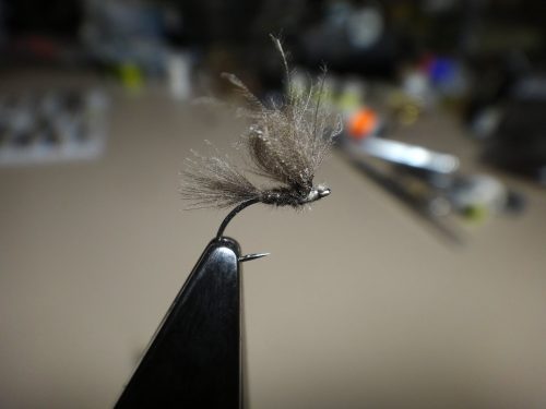 cdc-emerger-dun-07