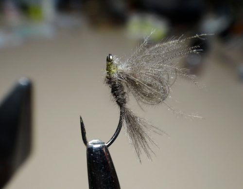 cdc-emerger-dun-08