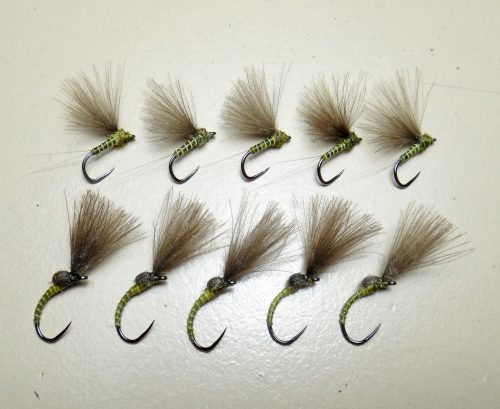 CDC Emergers Duns 16-18