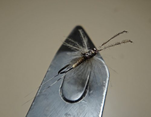 CDC Midge 18