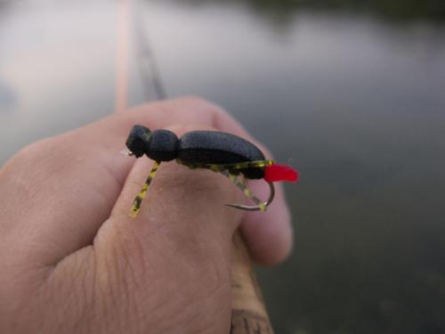 chubs-big-foam-beatle-02