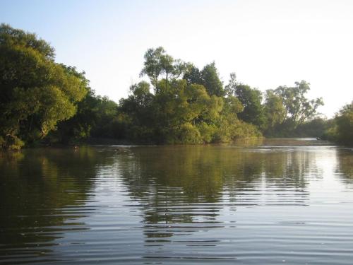 chubs-rosica-river-08