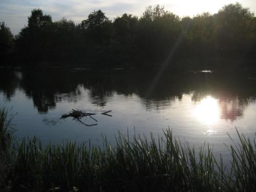 chubs-yantra-river-05
