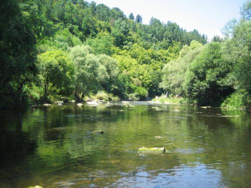 chubs-yantra-river-gostilica-01