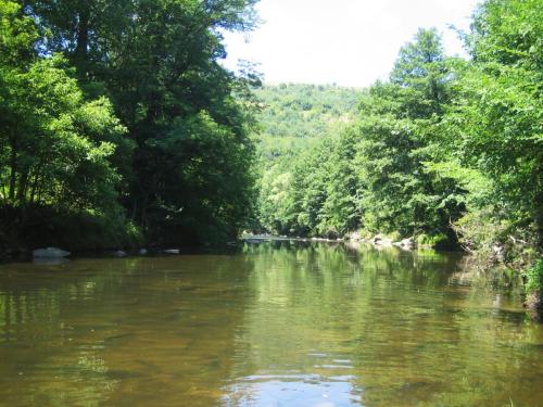 chubs-yantra-river-gostilica-03